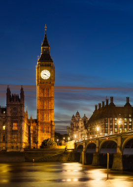Bougainvilleas on Lombard Street,  San Francisco, Tokyo